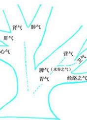 納氣|醫砭 » 證型鑑別 » 氣虛